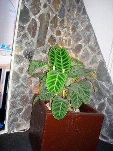 dsc03157
